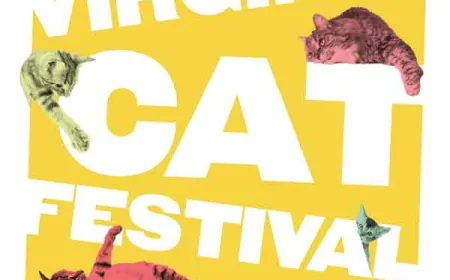 The Virginia Cat Festival is coming to Williamsburg – November 9 & 10