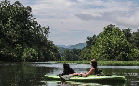 Paddling along the Jackson & Cowpasture Rivers