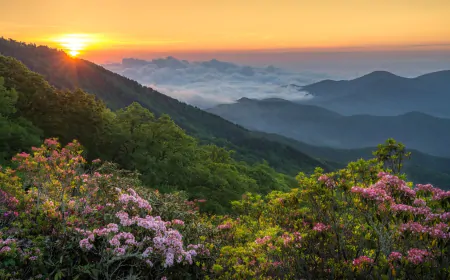 198 miles of Blue Ridge Parkway reopening tomorrow