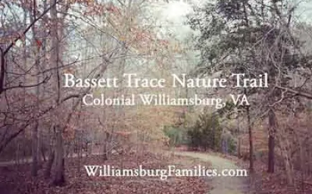 Have you been on The Bassett Trace Nature Trail – a local secret now open again to the public