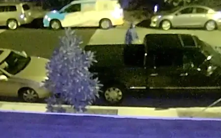 Tire slashing suspect caught on camera in Richmond