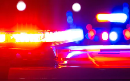 Over twenty dogs seized from Prince Edward home due to concerns for welfare