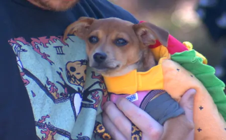 PHOTOS: Fall Pet Fair in Henrico County