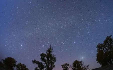 The Orionid meteor shower peaks tonight: How to see it