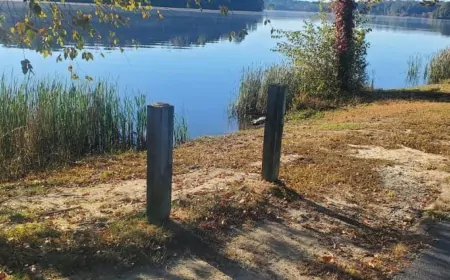 Up to $1,000 reward for information on Prince Edward sign sawed off, stolen