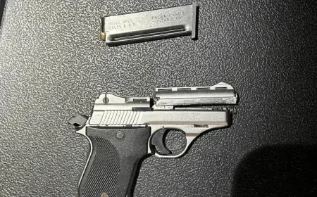 Woman charged with having concealed weapon after alleged break-in at Petersburg apartment