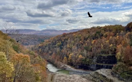 PHOTOS: Fall foliage across Virginia