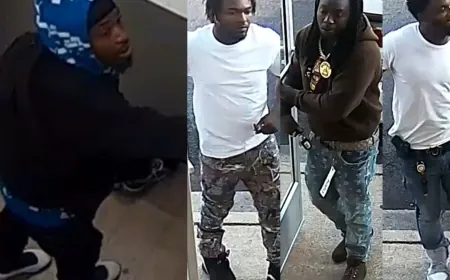 Richmond Police looking for persons of interest after DTLR theft