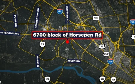 Rabid raccoon reported in western Henrico