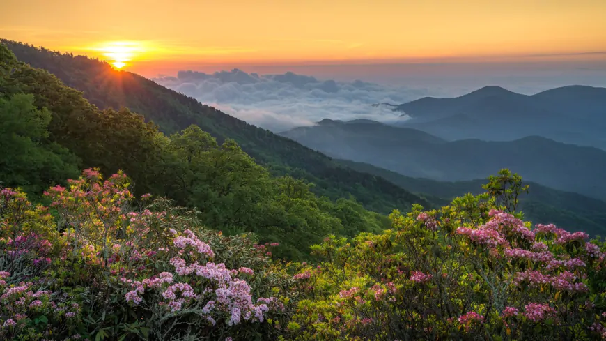 198 miles of Blue Ridge Parkway reopening tomorrow