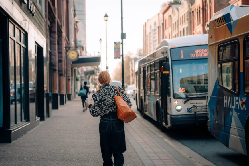 Explore the Halifax Region via bus (Halifax Transit)