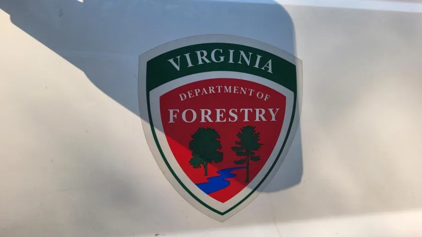 New executive order changes the way Virginia handles wildfires