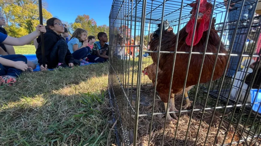 PHOTOS: Powhatan third graders learn about agriculture on ‘Farm Day’