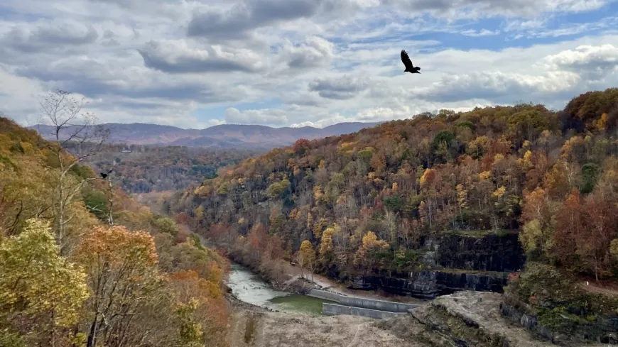 PHOTOS: Fall foliage across Virginia