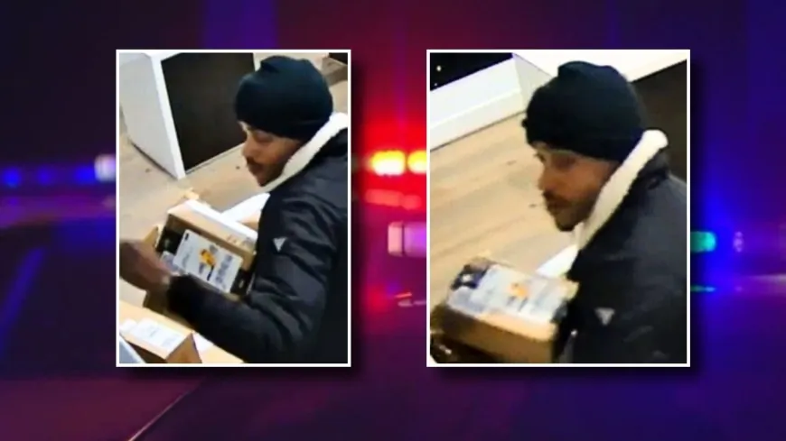 Multiple packages stolen from locked Richmond business