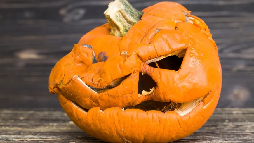 Where can I get rid of leftover pumpkins in Henrico County?