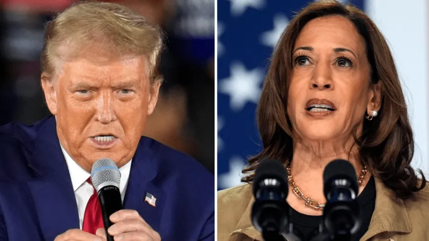 Analyst says Harris, Kaine remain favorites in Va. one week from election