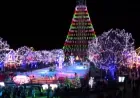 Kings Dominion’s Winterfest returns featuring over 6 million lights