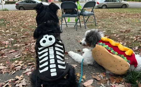 PHOTOS: 2024 Halloween costumes from 8News viewers