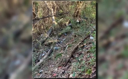 National Park Service asks for public comment on plans for Chesterfield landfill