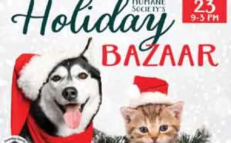 Holiday Bazaar to Benefit Local Homeless Pets  on Nov. 23
