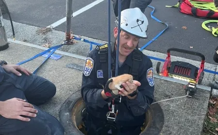 PHOTOS: Firefighters rescue kitten from sewer at Brightpoint Community College