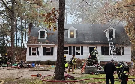 Henrico house fire displaces family and 15 dogs