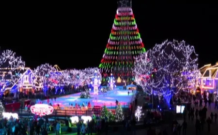 Kings Dominion’s Winterfest returns featuring over 6 million lights