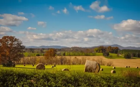 Virginia is the 3rd-best state for casual, hobbyist farmers, according to Lawn Love