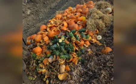 How composting pumpkins in Henrico County helps out the environment