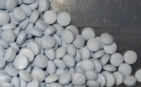 Over 550 pounds of fentanyl seized across Virginia in a month and a half