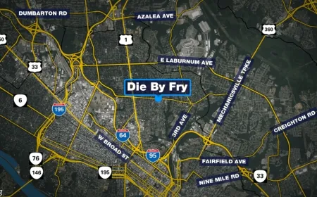 ‘Die By Fry’ restaurant serving loaded fries opens in Richmond’s Northside