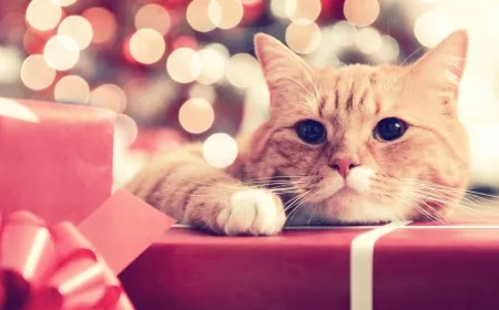 Richmond SPCA celebrates the holidays with Howliday Market and Photo event