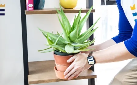 PlantHouse Richmond to host week-long holiday market