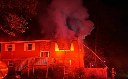 Two residents without a home, two pets killed in Chesterfield house fire