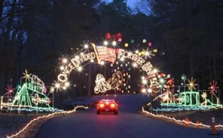 Celebration in Lights at Newport News Park 2024