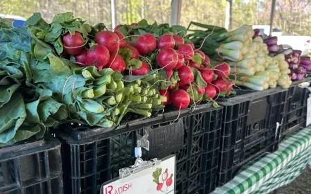 New farmer’s market to begin in spring in Richmond’s Manchester area