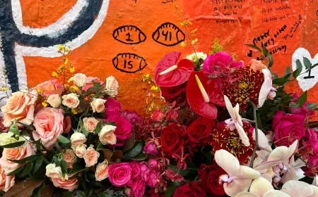 Man accused of killing 3, injuring 2 in UVA shooting pleads guilty