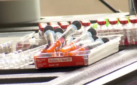 ‘Aggressive’ raccoon tests positive for rabies in Richmond