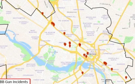 Over a dozen Richmond businesses damaged by BB gun pellets in vandalism spree