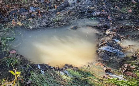 Lane closed on Graham Road in Petersburg due to water main break