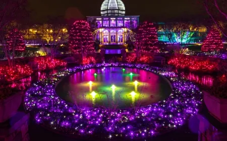 Dominion Energy GardenFest of Lights returns to Lewis Ginter this holiday season