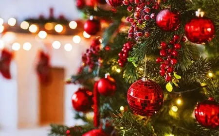 Petersburg Symphony Orchestra to host free holiday concert