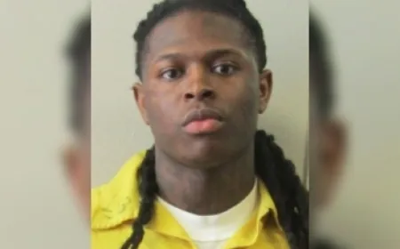 Former escaped inmate Naseem Roulack pleads guilty ahead of jury trial