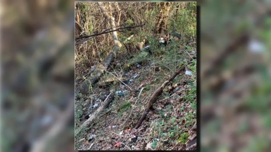 National Park Service asks for public comment on plans for Chesterfield landfill