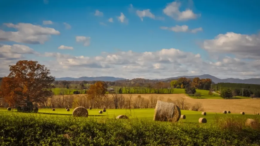 Virginia is the 3rd-best state for casual, hobbyist farmers, according to Lawn Love