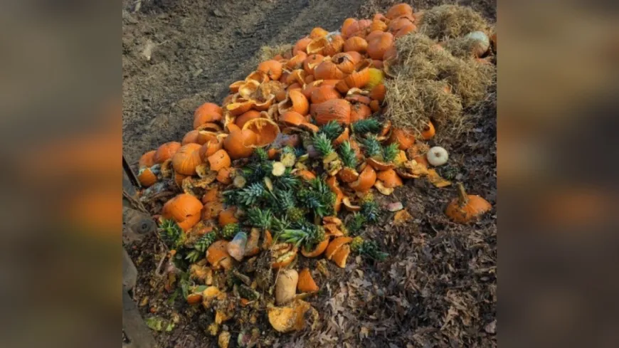 How composting pumpkins in Henrico County helps out the environment