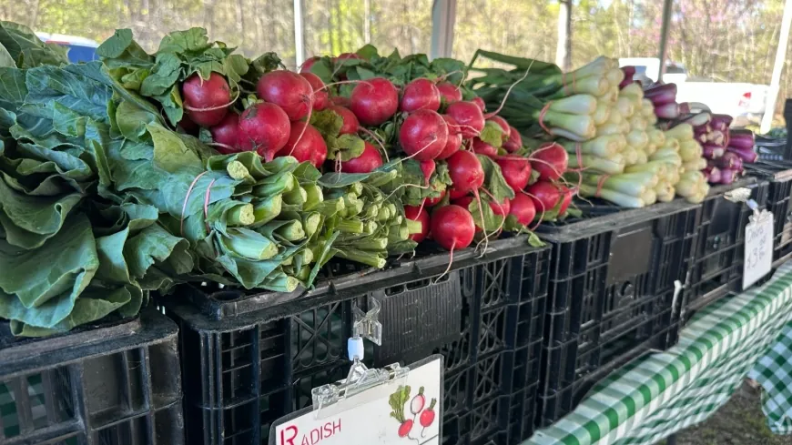 New farmer’s market to begin in spring in Richmond’s Manchester area