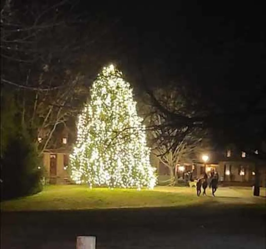 2024 Community Christmas Tree Lighting in Colonial Williamsburg – Free & Open to the Public