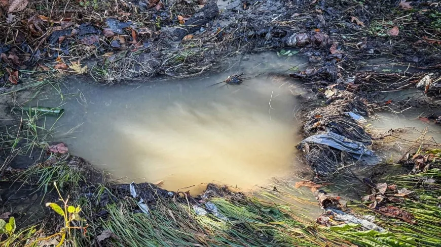 Lane closed on Graham Road in Petersburg due to water main break